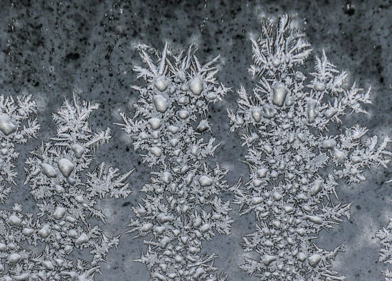 Synthesis Peptides - Close-up of intricate frost patterns and ice crystals on a window, forming dense clusters and delicate, spiky shapes—resembling the complex structures seen in research peptides—set against a dark, mottled background.